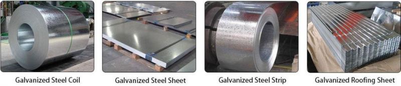ASTM Dx51d Dx52D SGCC Zinc Coated Galvanized Steel Coils