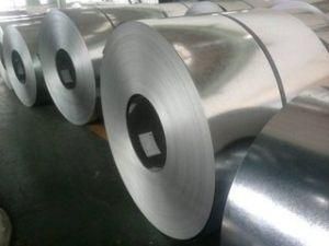 Hot DIP-Galvanized Steel Sheet / Coil on Sale