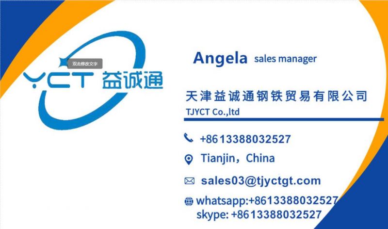 China Gold Supplier 316L Thick Stainless Steel Flat Bar