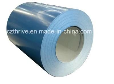 JIS G3312 Prepainted Galvalume Steel Sheet in Coil