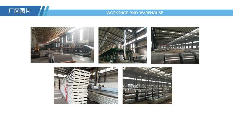 Price Hot Dipped Galvanized Steel Coil