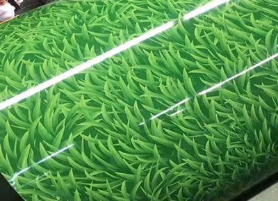 Hot Rolled Carbon Cold Rolled Galvanized Steel Plate/Gi Slit Coil/Metal Strip Price Steel Coils