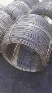 Hot Rolled Deformed Steel Wire Rod