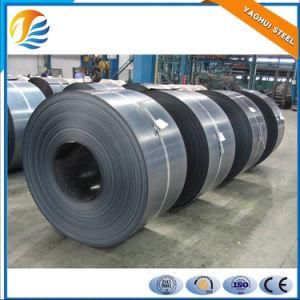 Hot Rolled/ Stainless/Galvanized Steel Coils