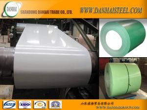 PPGI PPGL Gi Steel Coil Manufacture