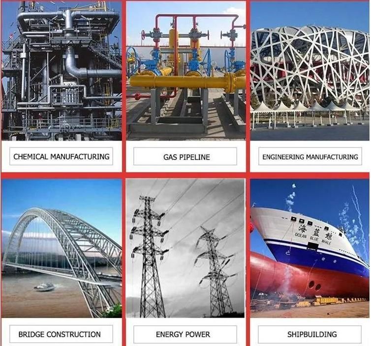 Wholesale Q195 Dx51d Ss400 Carbon Steel Coil with Factory Price