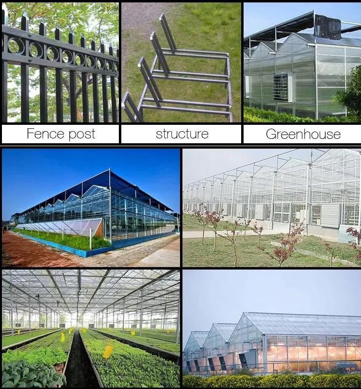 Hot Sale Low Carbon Steel Hot DIP Galvanized Carbon Steel Seamless Pipes and Tubes Seamless Square Tube Galvanized Seamless Square Tube Profiles Square Tube