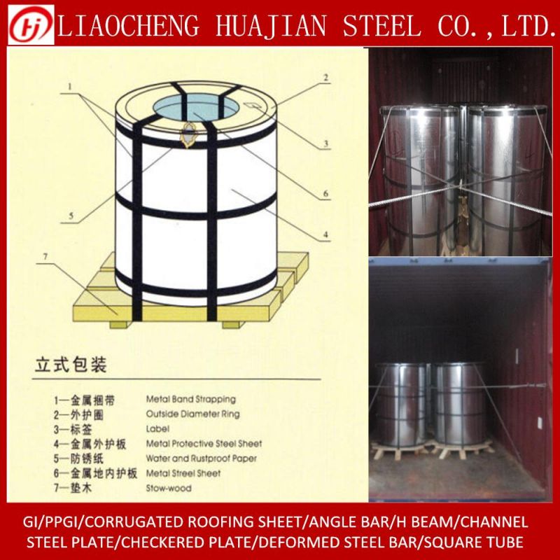 Dx51 SGCC Sghc Gi Steel Coil with SGS Certificate