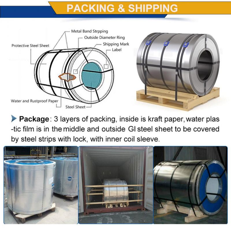 Q195 Q235 Q345 Series Galvanized Steel Coil and Steel Strip