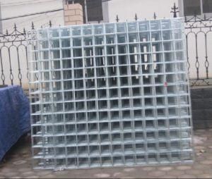 Wire Neting Welded Wire Mesh Galvanzied Mesh