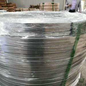 1.4310 Stainless Steel Coil Strip for Decoration Sheet
