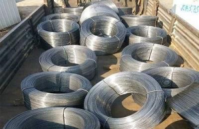 AISI ASTM Low Carbon Coil Iron Steel Wire Rod with Factory Price