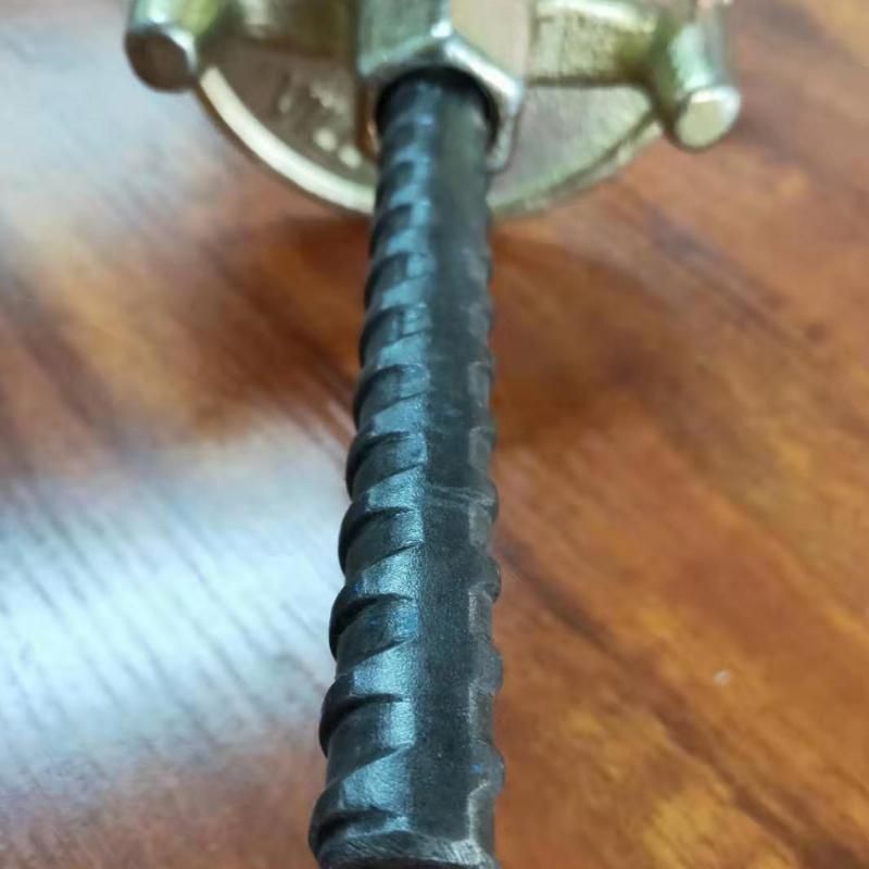 Scaffold Tie Rod Used for Encofrados