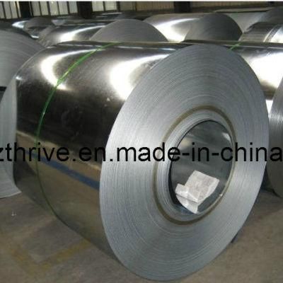 Galvanized Alloy Steel with Wooden Pallet