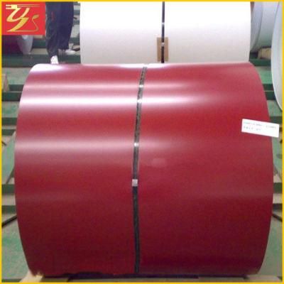 Manufacturer of Color Coated Prepainted Steel Coil PPGL PPGI