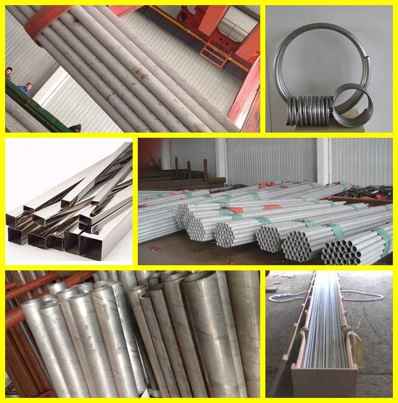 Stainless Steel Pipe / Stainless Steel Tube