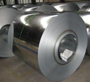 Building Materials Galvanized Steel Coil in Comperative Price