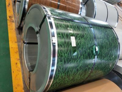 Grass Grain Print Colorful Galvanized Steel Coil