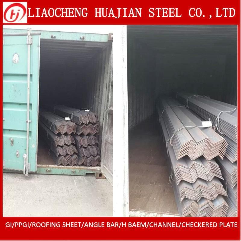 Equal and Unequal Angle Steel Bar for Iron Gate Design