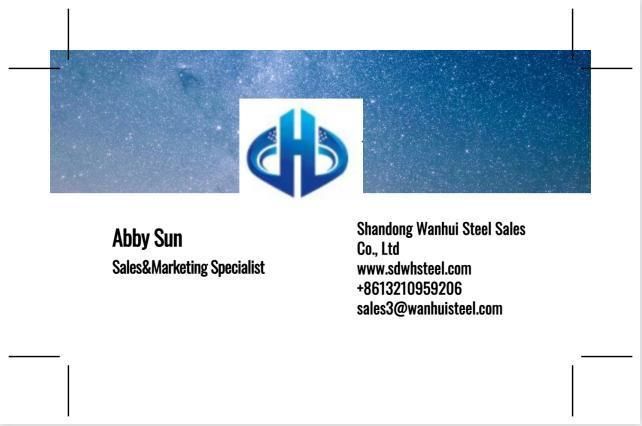 PPGI/HDG/Gi/Secc Dx51 Zinc Coated Cold Rolled/Hot Dipped Galvanized Steel Coil/Sheet/Plate/Metals Iron Steel Coils
