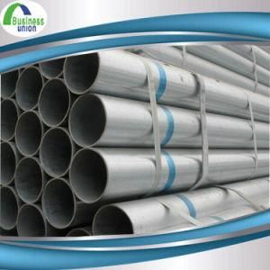 Galvanized Metal Watering Pipe