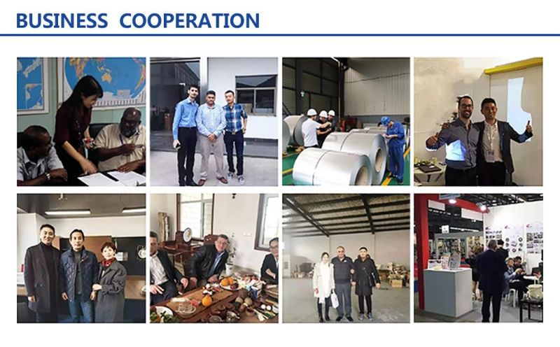 High Quality Hot Dipped Prepainted Galvanized Color Zinc Coated PPGI PPGL Prepainted Steel Coil