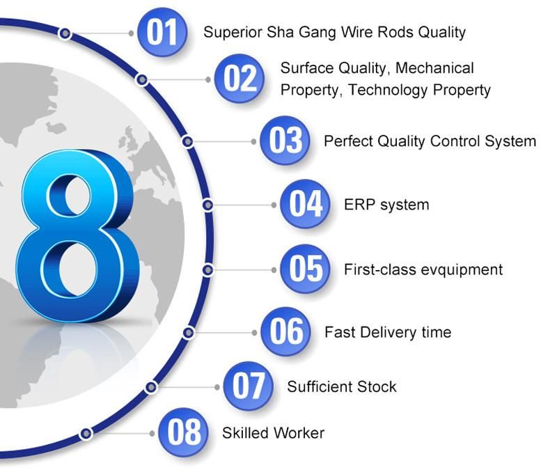 Low Carbon Steel Wire for Nail Making