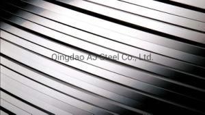 Inox Cold Rolled Hot Rolled 201 304 430 410 409 Stainless Strips Coil