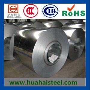 Gi; Hot Dipped Galvanized Steel in Coil/Sheet