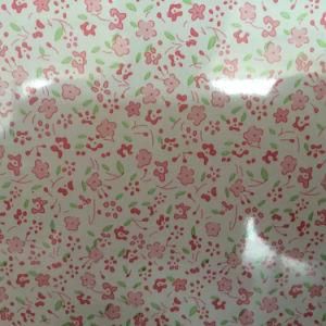 Printed PPGI PPGL Floral