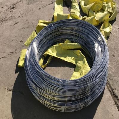 Chinese Suppliers Hard Drawn Black Motorcycle Spoke Steel Wire