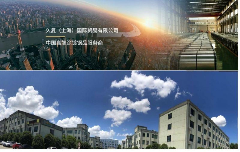 PPGI/PPGL Steel Coil Prepainted Steel Coil for Building Material