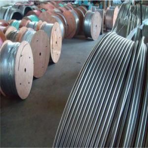 ASTM A269 304L Seamless Stainless Steel Coil Tube with Good Quality