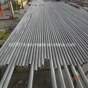 Seamless Stainless Steel Pipe in Duplex 31803 &amp; 2205