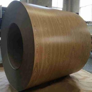 Printed Steel Coil