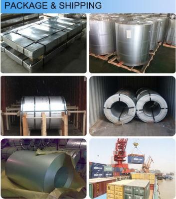 Cold Rolled Steel Coil (CRP)
