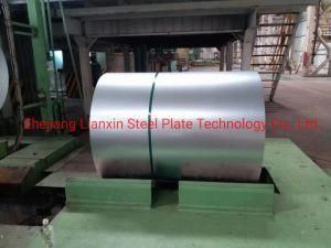 G40 Electro Galvanized Steel Coils / Sheet