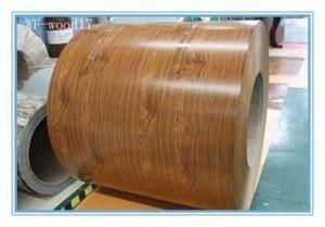 The PPGL/PPGI/Ppal Color Caoted Steel Coils