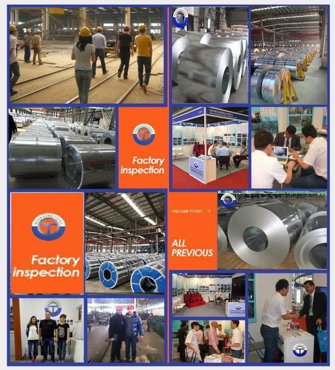 Hot Cold Rolled Plate Sheet ASTM SUS 201 202 301 304 304L 316 316L 310 410 430 2b Ba Hairline Mirror Polished Stainless Steel Coil