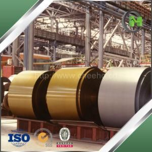 Factory Direct Sale ASTM A653 &amp; JIS G3312 Prime Prepainted Galvanized Steel Coil