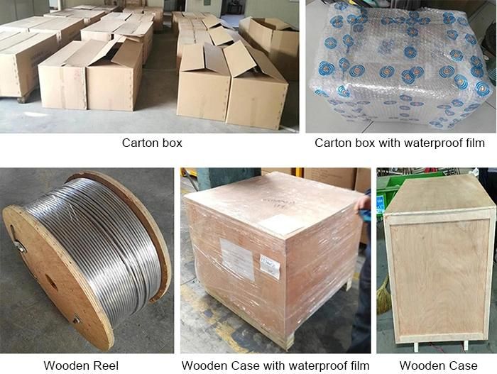 En 10216-5 Stainless Steel Tube for Radiator Coiled Tube