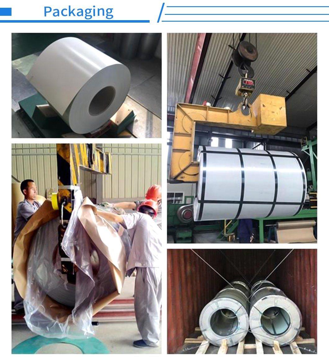 Top Quality Prime Hot Rolled Steel Sheet in Coil Prime Galvanized Steel Coil