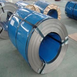 Competitive Stainless Steel Coil (304 L)