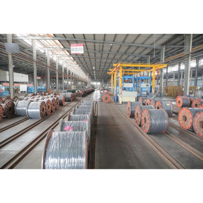 Electro-Galvanized Spring Steel Wire&Hot Dipped Galvanized Steel Wire&Cold Drawn Steel Wire&Oil Quenching Steel Wire