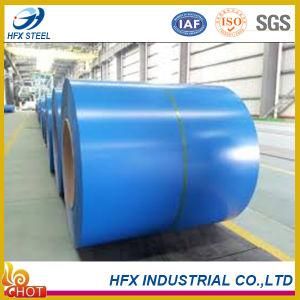 HDG Color Coated Steel Coil with Ral Color