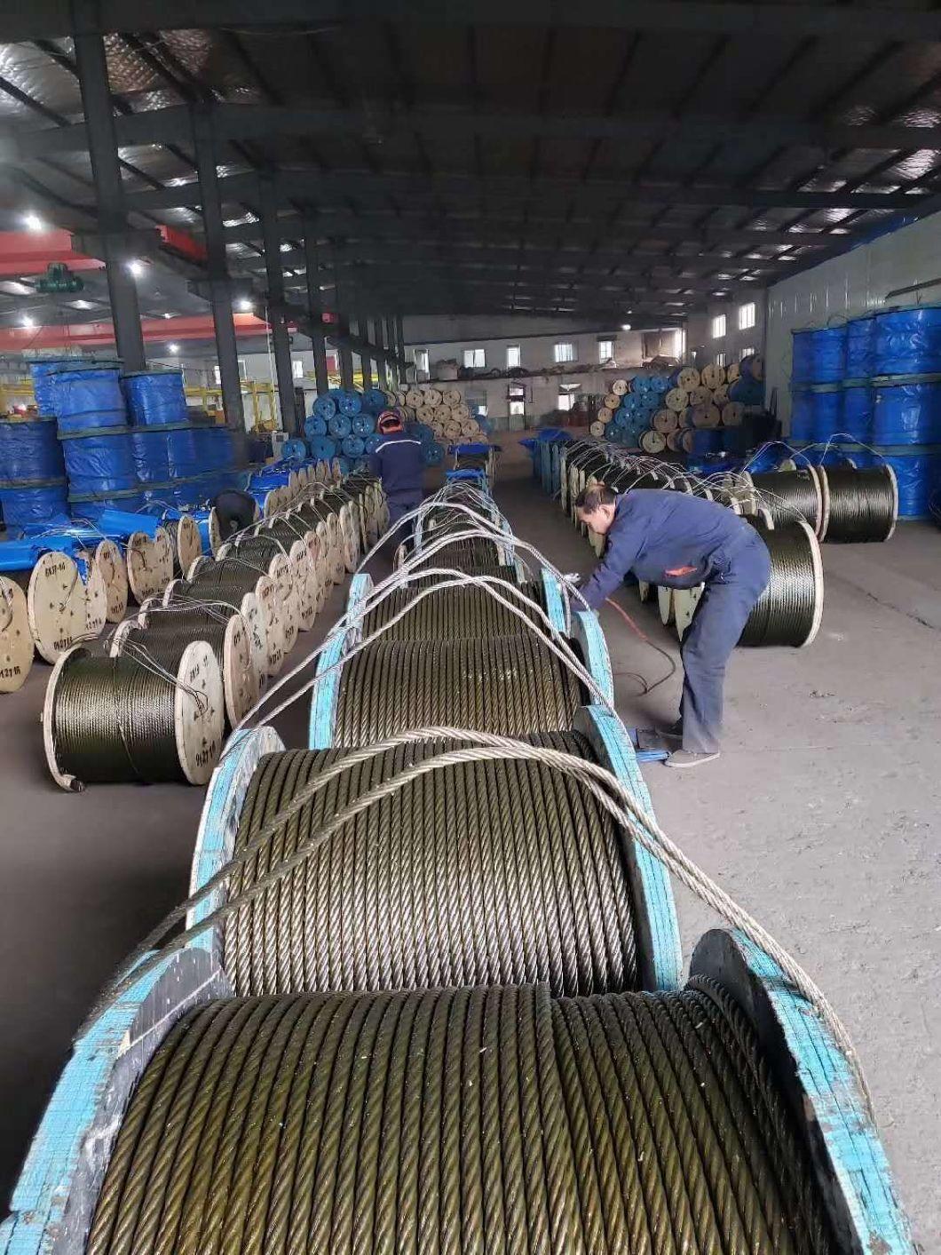 0.7-7.00 mm Hot Dipped/Cold Electro Galvanized Steel Wire Rope Manufacture