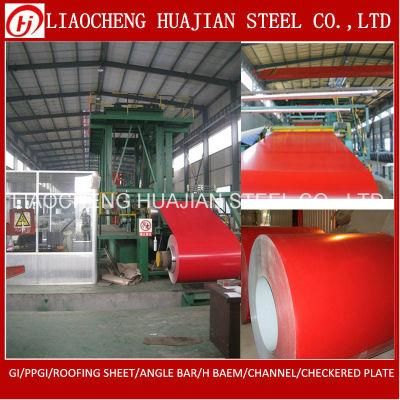 Hot Prepainted Galvanized Steel Coil for Building
