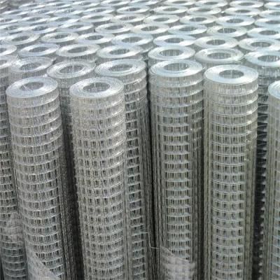 Factory Price Wholesale 304 316 310 Stainless Steel Filter Wire Mesh for Filtering