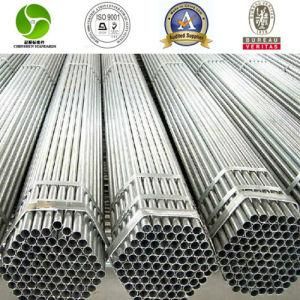 Stainless Steel Tube for Cooler (TP304/310/316/316L/321/347)