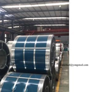 Printed and Embossed Prepainted Steel for Home Appliances Application